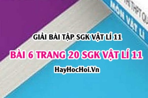 Giải bài 6 trang 20 SGK Vật lí 11
